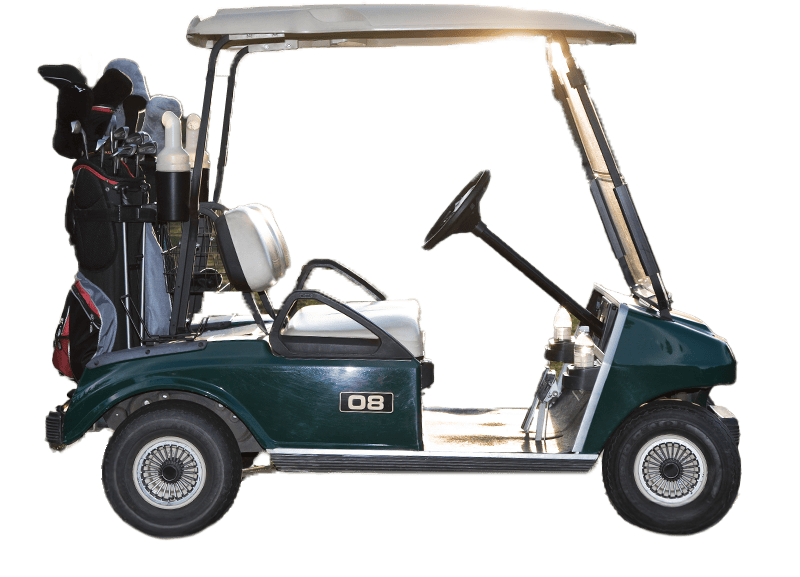 RV, Trailer, Golf Cart Dealer Management System - gc 2 copy