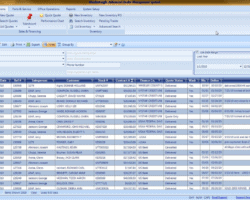 Sales Search Screenshot